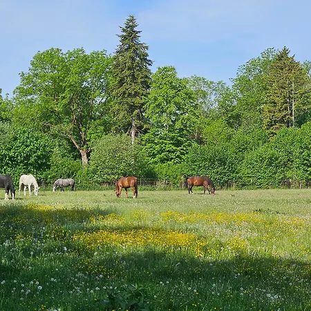 Ruhige, Moderne In Eicherloh-eigener Stellplatz Finsing